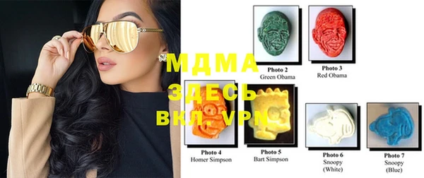 хмурый Каменка