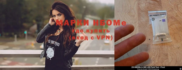 хмурый Каменка