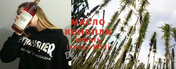 хмурый Каменка